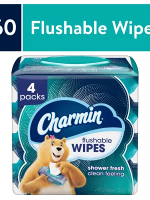 Charmin Flushable Wipes, 4 packs, 40 Wipes Per Pack, 160 Total Wipes